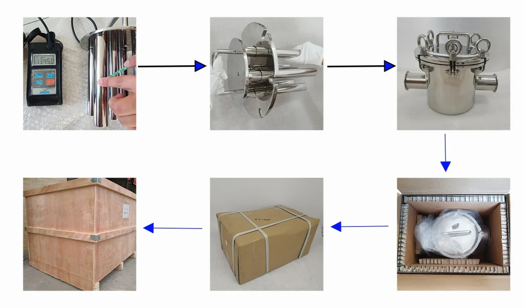 SS304 Sanitary Magnetic Liquid Filter Trap with Magnetic Rod Inside Element